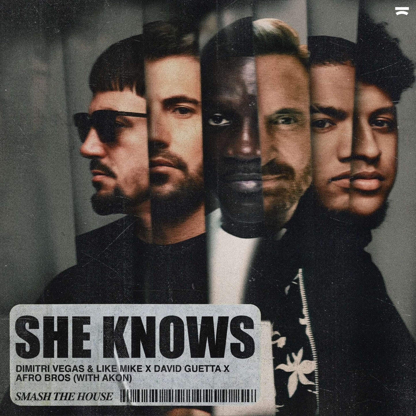 Dimitri Vegas & Like Mike, David Guetta, Afro Bros, Akon - She Knows (Studio Acapella)