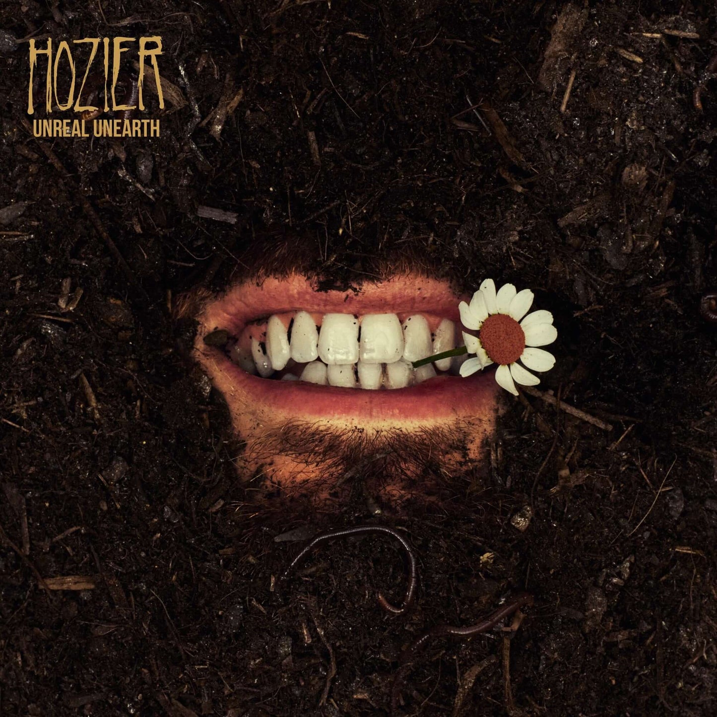 Hozier - De Selby (Part 2) (Studio Acapella)