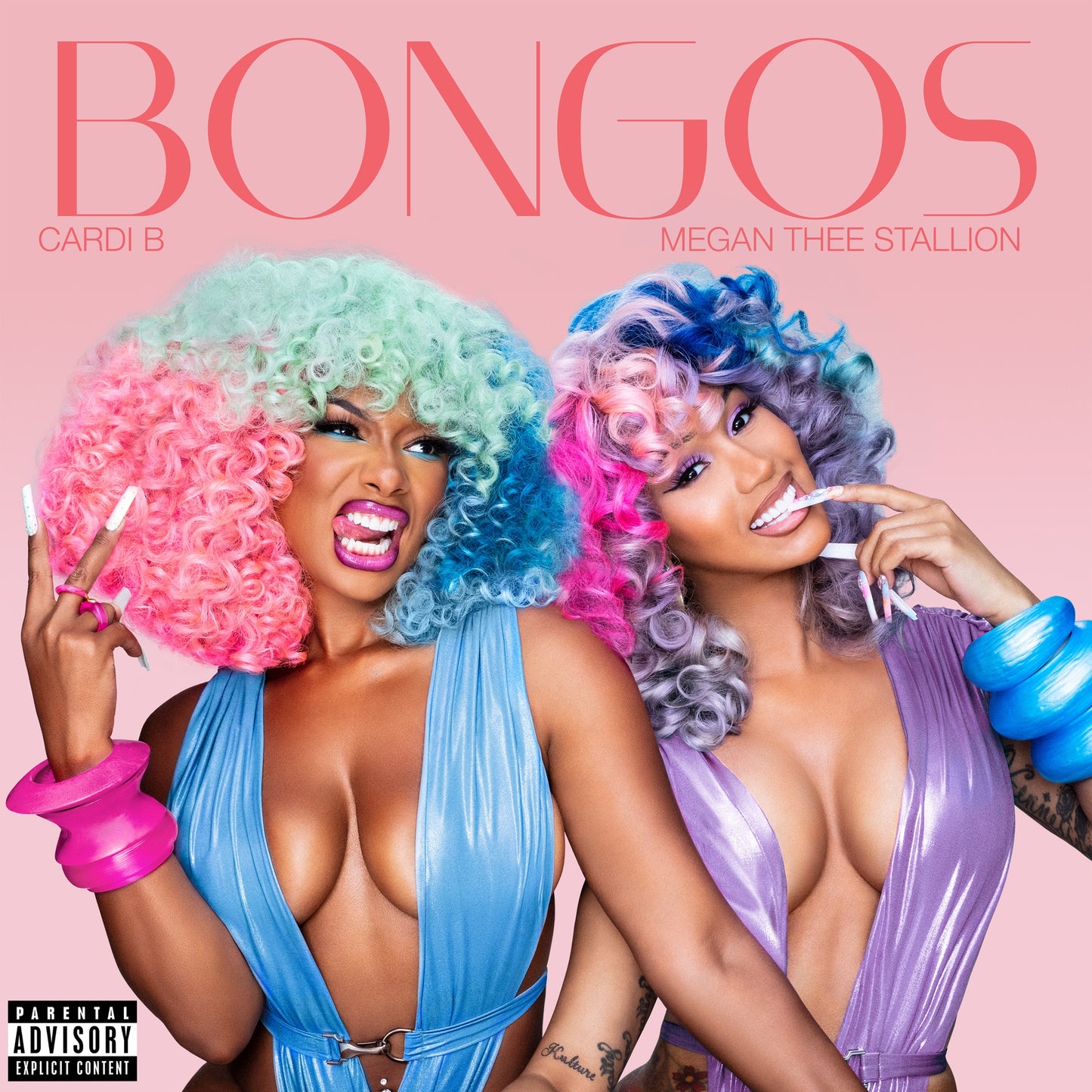 Cardi B - Bongos ft. Megan Thee Stallion (Studio Acapella)