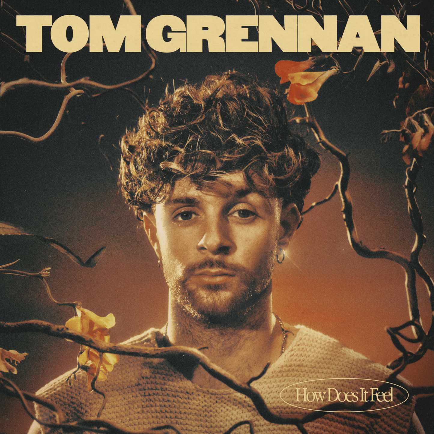 Tom Grennan - How Does It Feel (Studio Acapella)