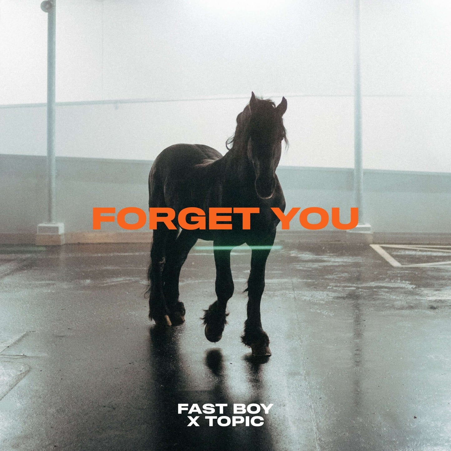 FAST BOY & Topic - Forget You (Studio Acapella)