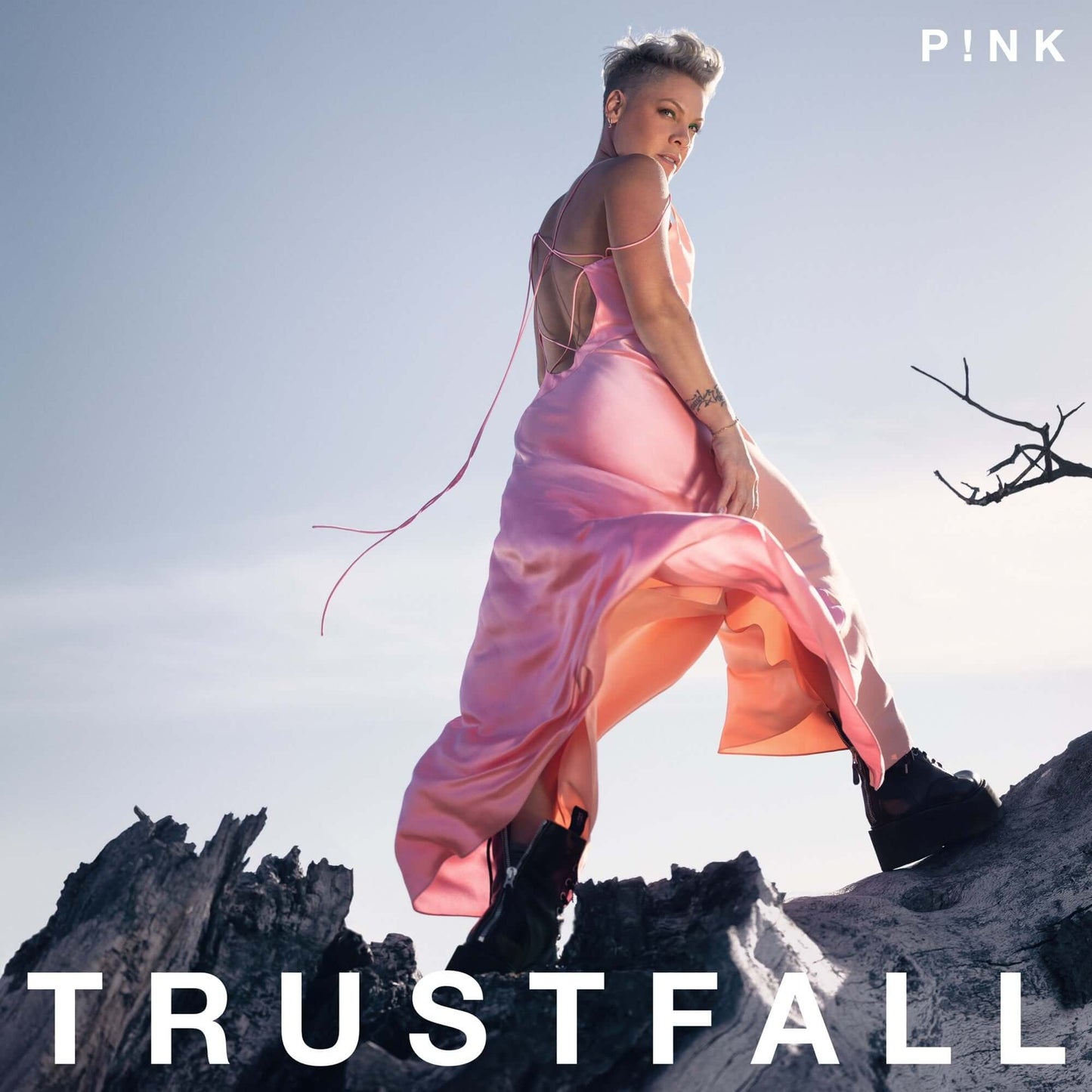 P!NK - Runaway (Studio Acapella)