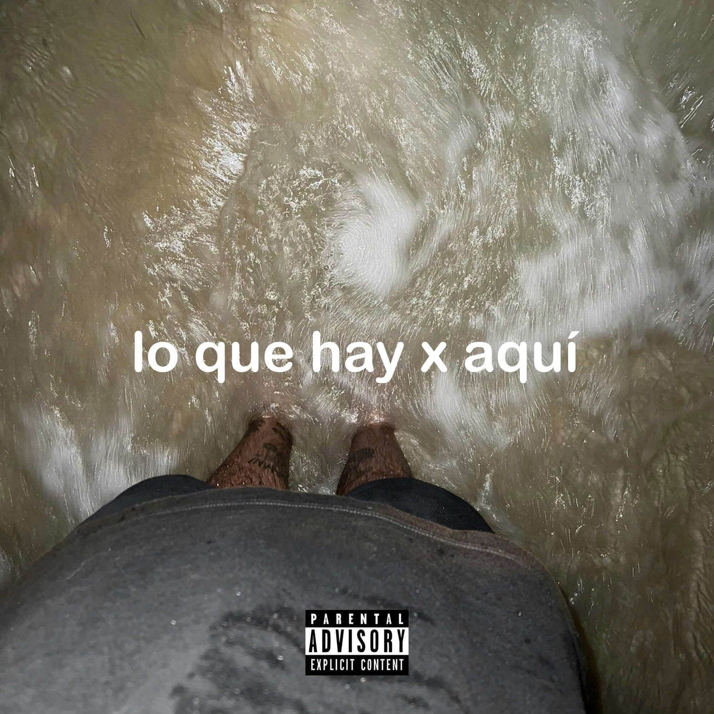 Rels B - lo que hay x aquí (Studio Acapella)