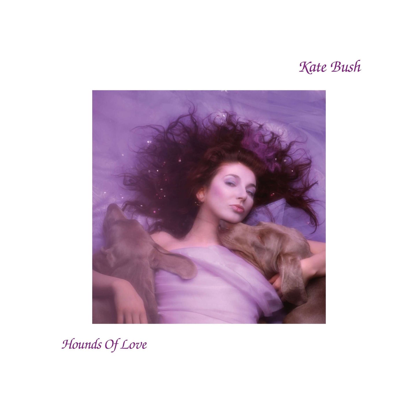 Kate Bush - Running Up That Hill (Un accord avec Dieu) (Studio Acapella)