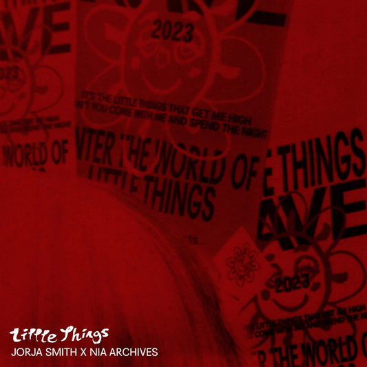 Jorja Smith - Little Things (Nia Archives Remix) (Studio Acapella)