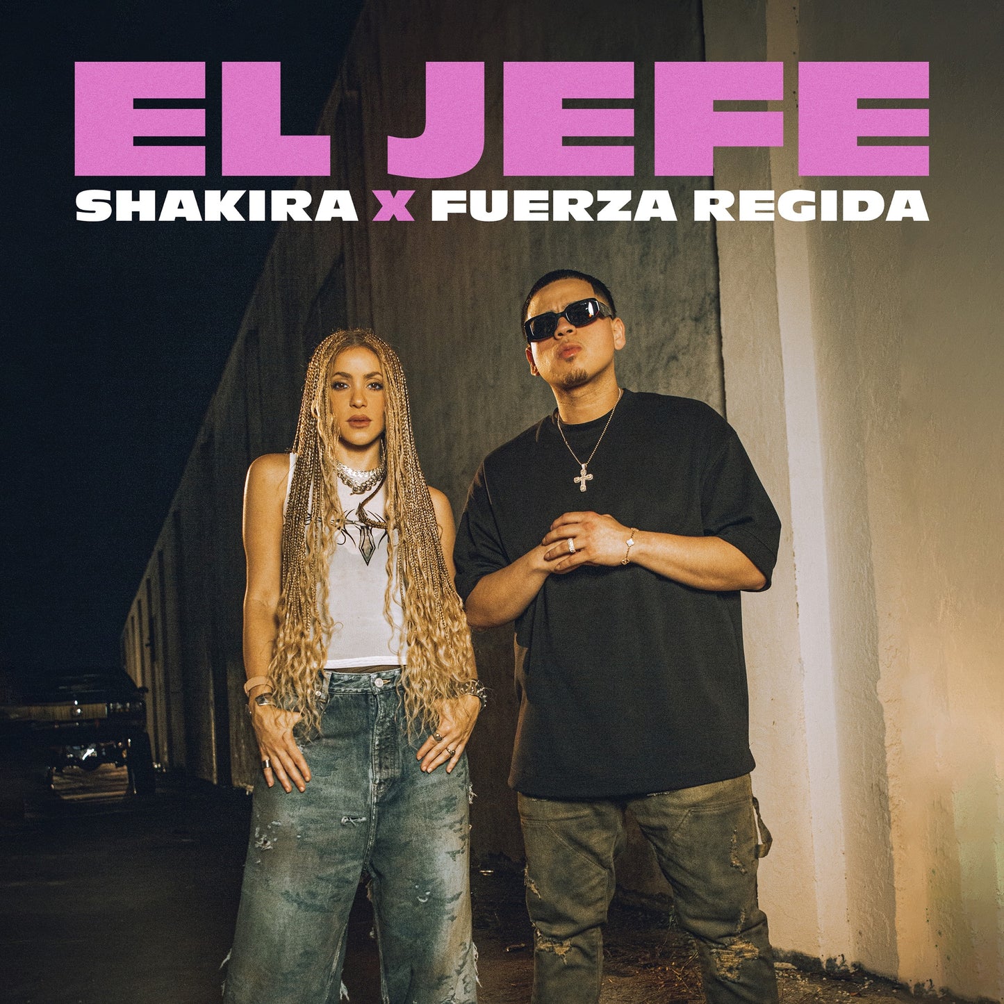 Shakira, Fuerza Regida - El Jefe (Studio Acapella)