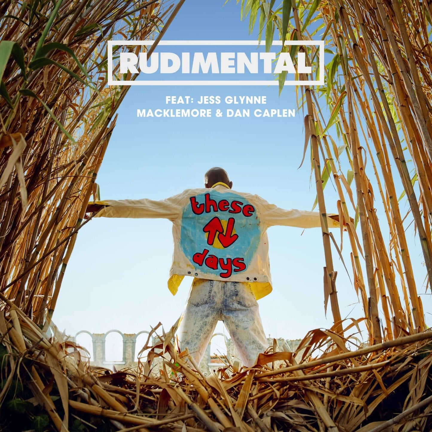 Rudimental - These Days ft. Jess Glynne, Macklemore & Dan Caplen (Studio Acapella)