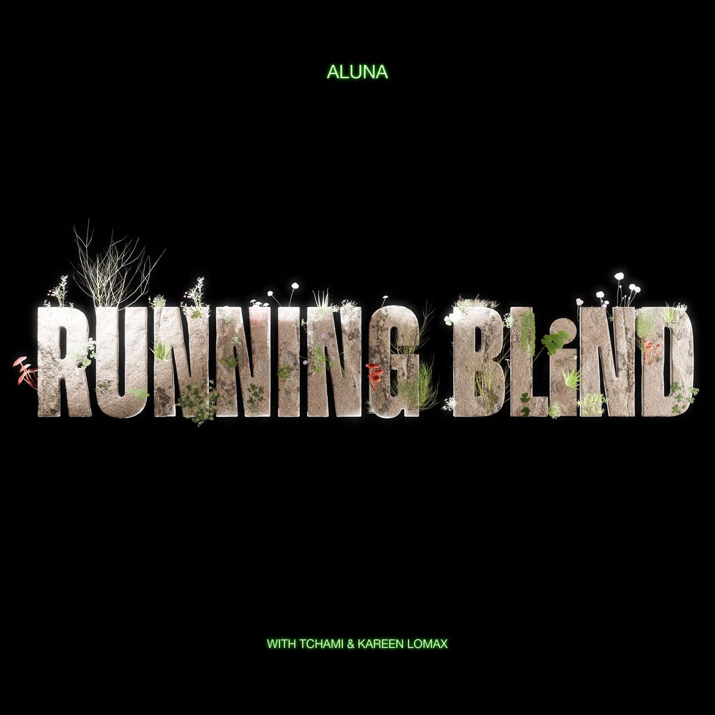Aluna, Tchami, Kareen Lomax - Running Blind (Studio Acapella)
