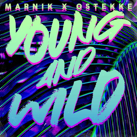 Marnik, OsTEKKe - Young And Wild (Studio Acapella)