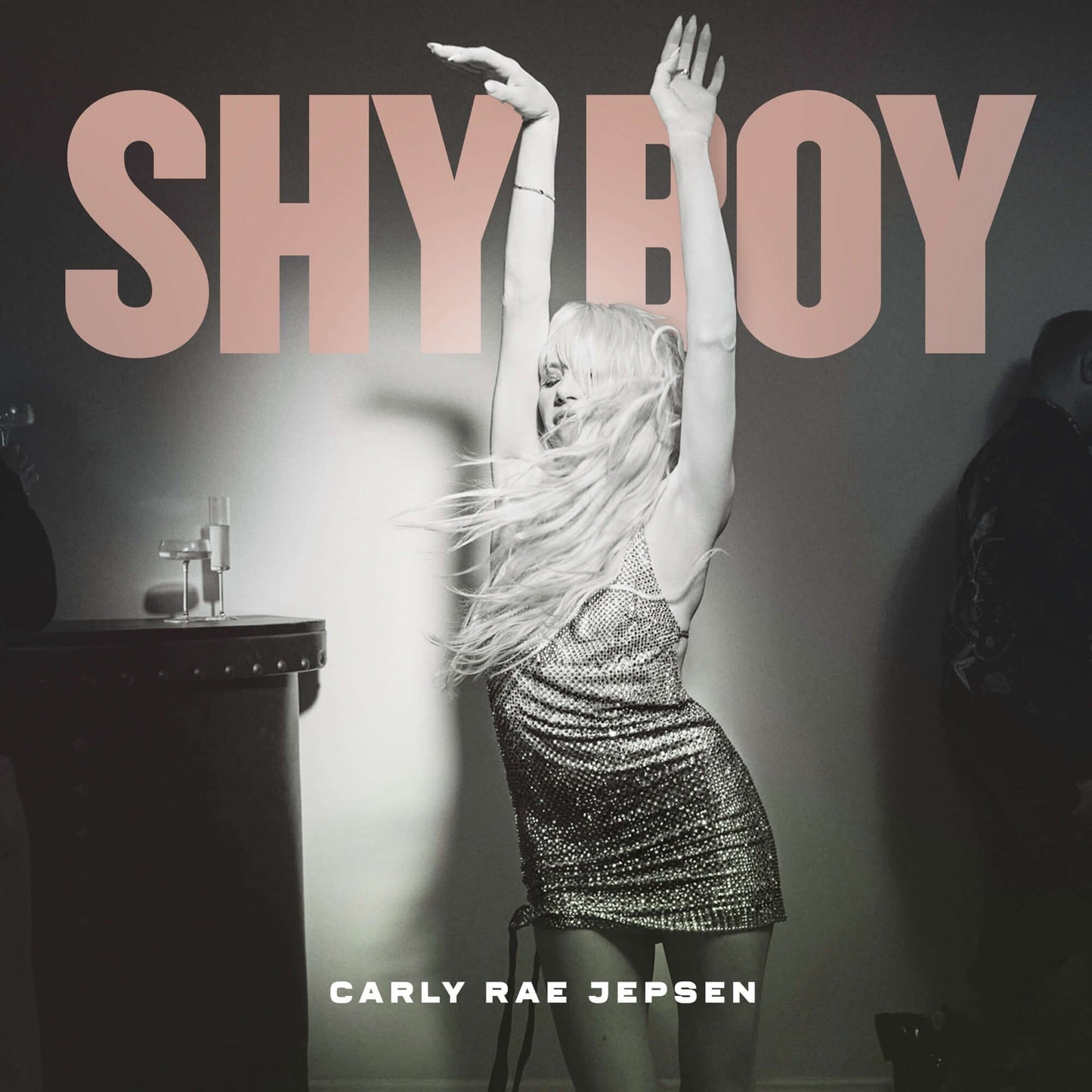 Carly Rae Jepsen - Shy Boy (Studio Acapella)