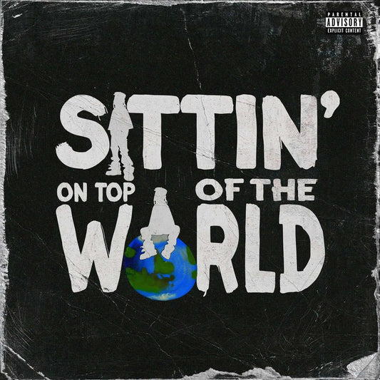 Burna Boy - Sittin’ On Top Of The World (Studio Acapella)