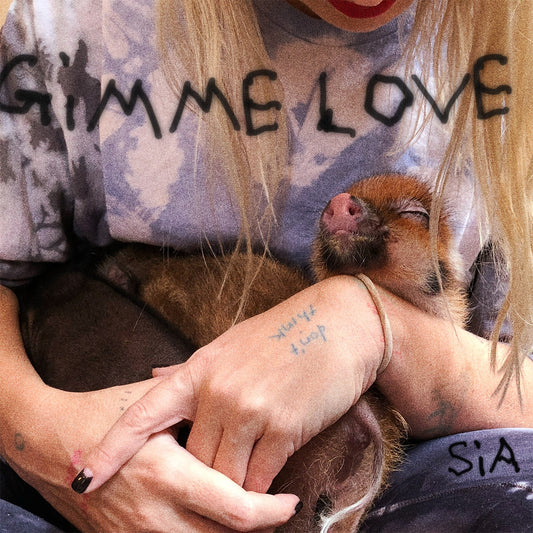 Sia - Gimme Love (Studio Acapella)