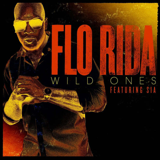 Flo Rida - Wild Ones ft. Sia (Studio Acapella)