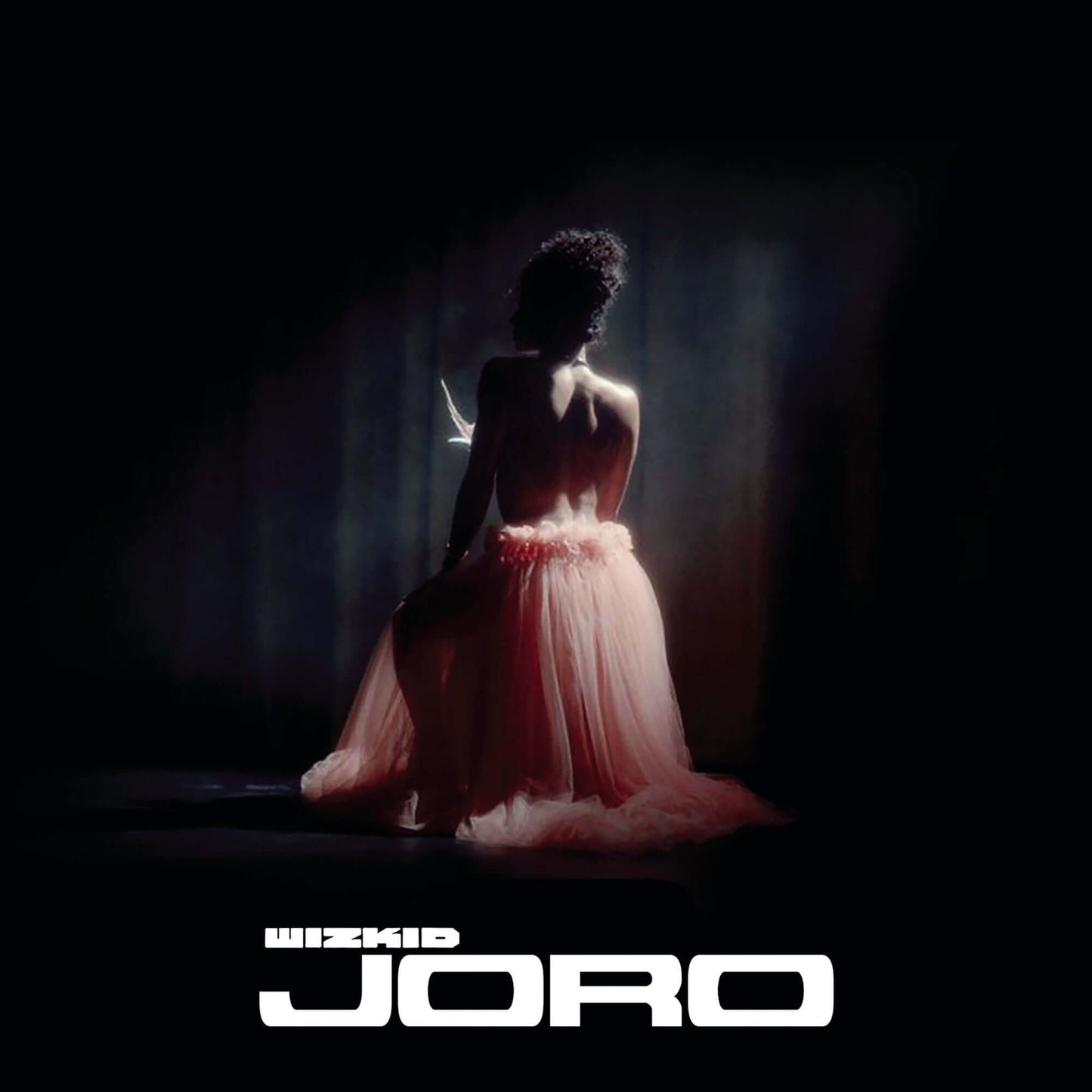 Wizkid - Joro (Studio Acapella)