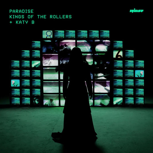 Kings Of The Rollers & Katy B - Paradise (Studio Acapella)