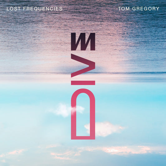 Lost Frequencies & Tom Gregory - Dive (Studio Acapella)