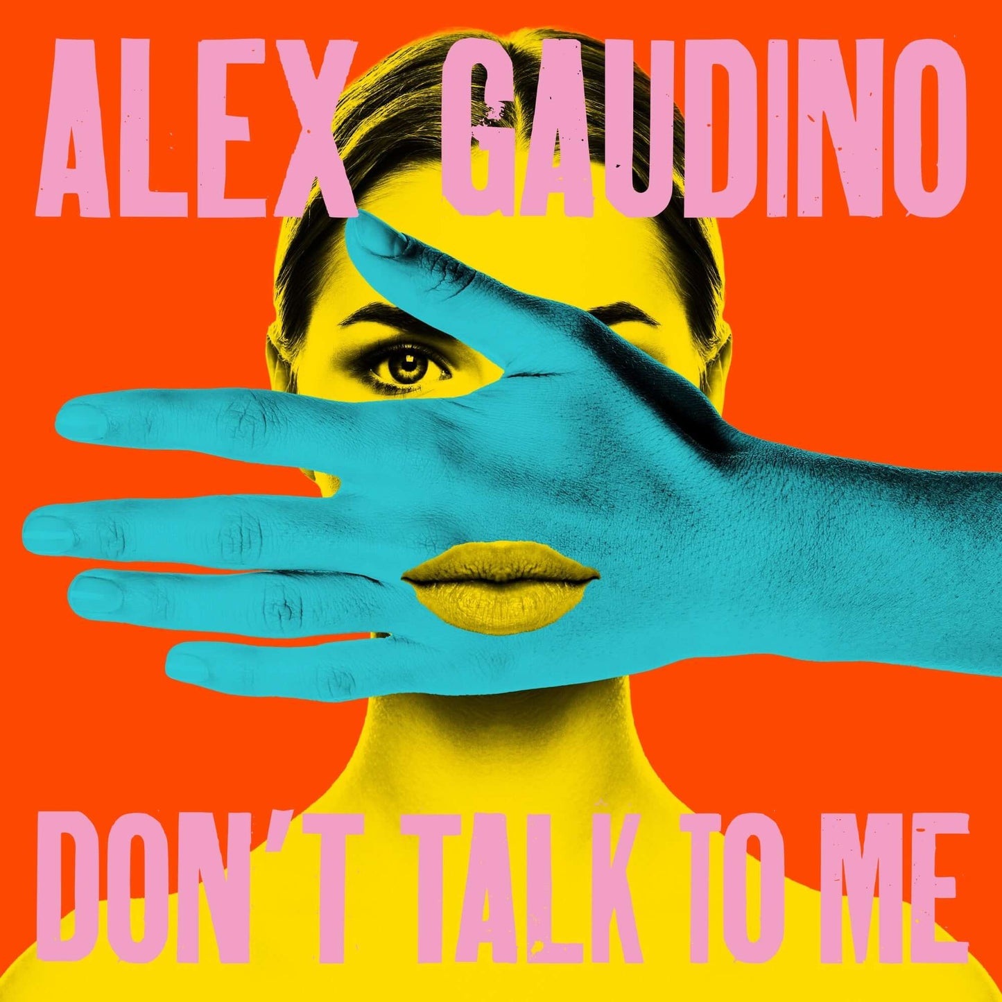 Alex Gaudino - Don't Talk To Me (Studio Acapella)