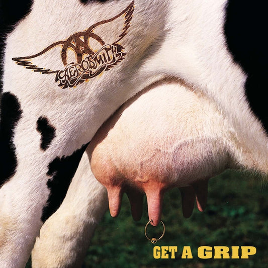 Aerosmith - Cryin' (Studio Acapella)