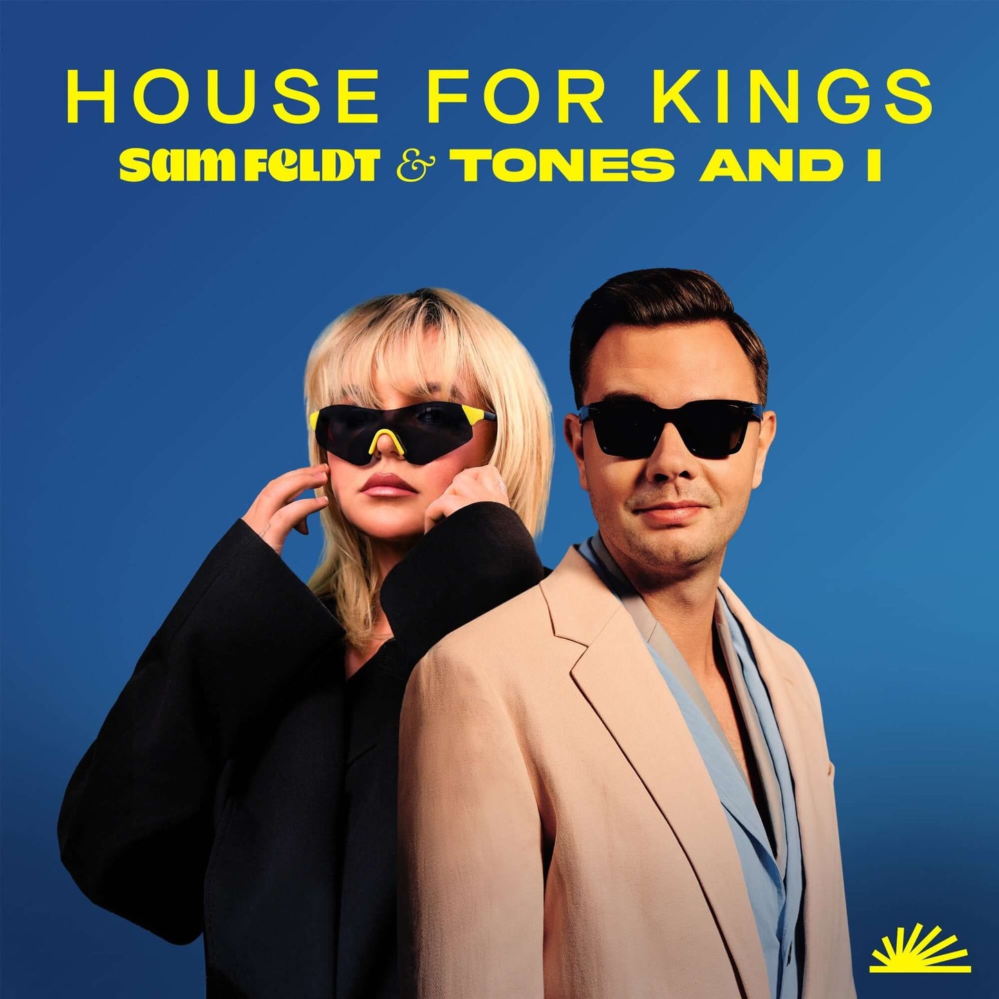 Sam Feldt, Tones and I - House For Kings (Studio Acapella)