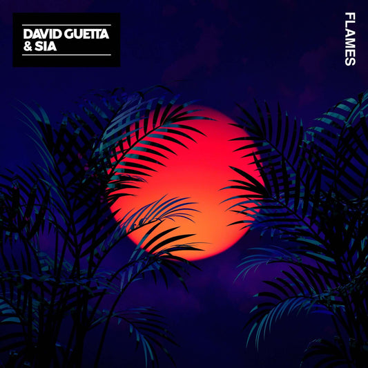 David Guetta & Sia - Flames (Studio Acapella)