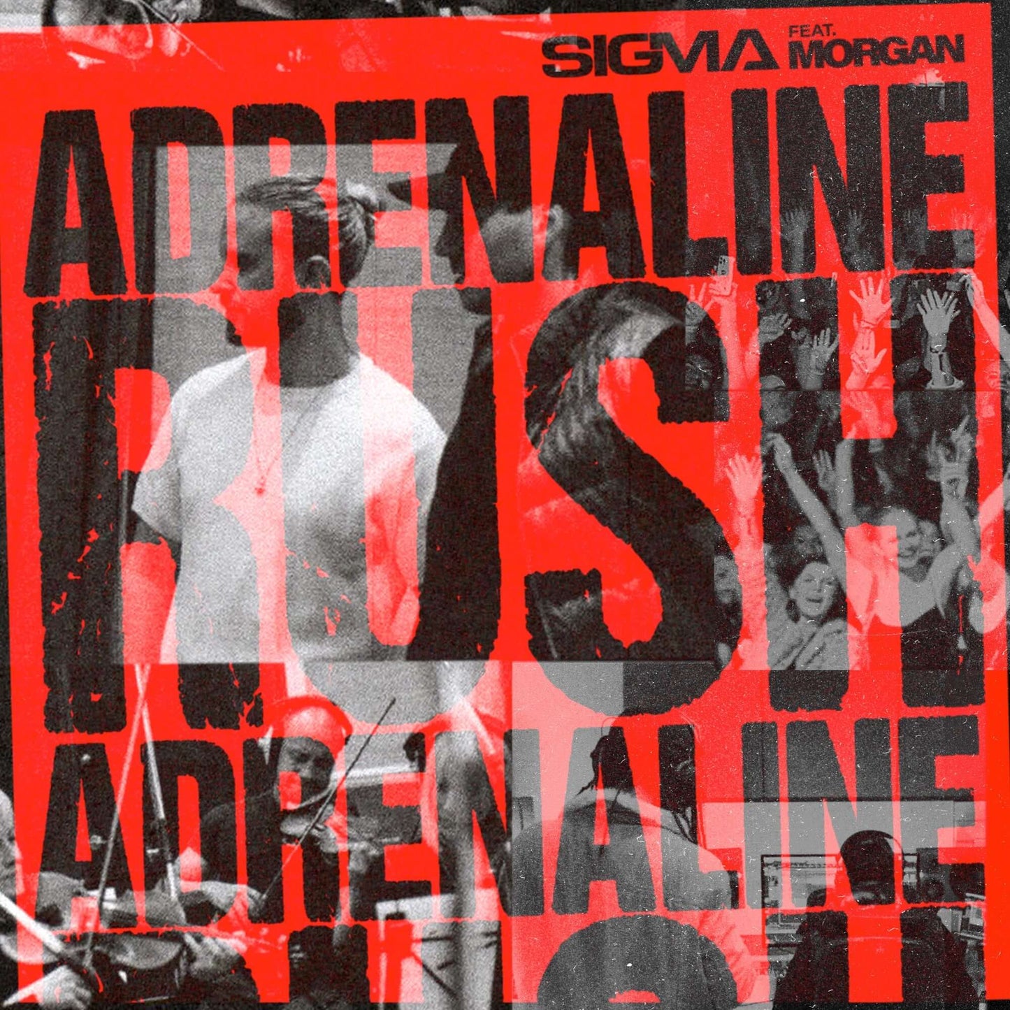 Sigma - Adrenaline Rush ft. MORGAN (Studio Acapella)