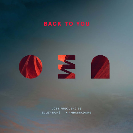 Lost Frequencies, Elley Duhé, X Ambassadors - Back To You (Studio Acapella)