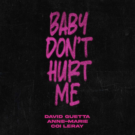 David Guetta, Anne-Marie, Coi Leray - Baby Don't Hurt Me (Studio Acapella)