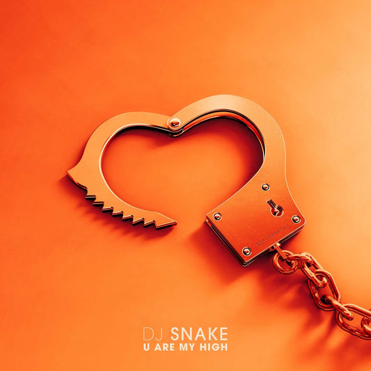 DJ Snake - U Are My High (Estudio Acapella)