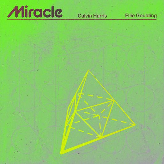 Calvin Harris, Ellie Goulding - Milagro (Studio Acapella)