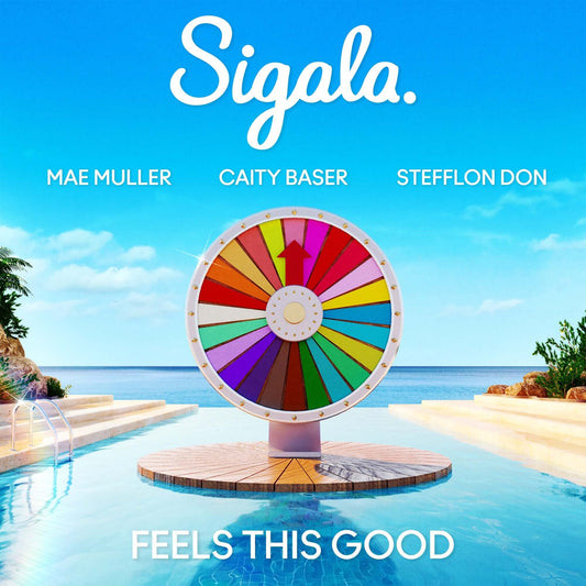 Sigala, Mae Muller, Caity Baser - Feels This Good ft. Stefflon Don (Studio Acapella)