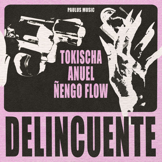 Tokischa - Delincuente (Studio Acapella)