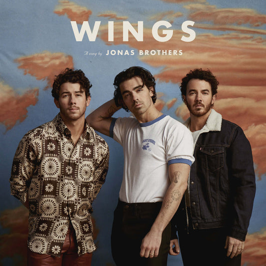 Jonas Brothers - Wings (Studio Acapella)