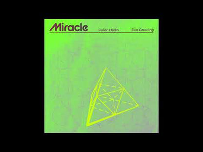 Calvin Harris, Ellie Goulding - Miracle (Studio Acapella)